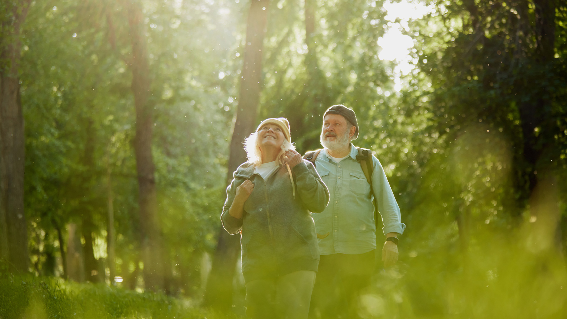 Plans de pension  